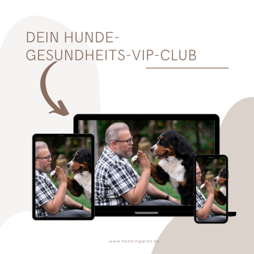 Hunde-Gesundheits-VIP-Club