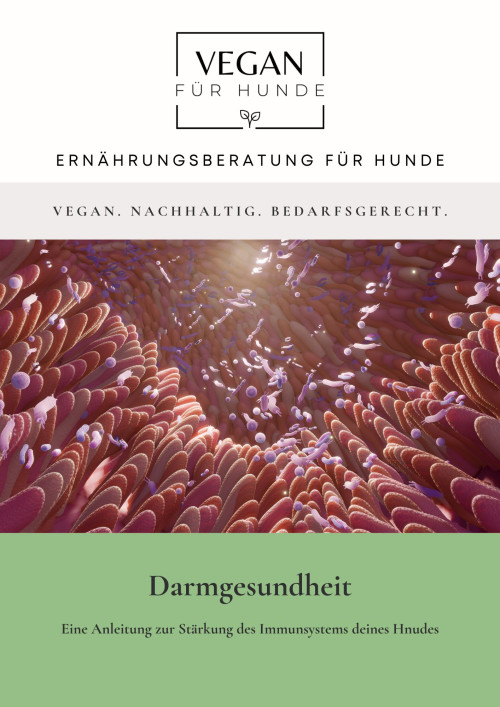 Online eBook-Darmgesundheit