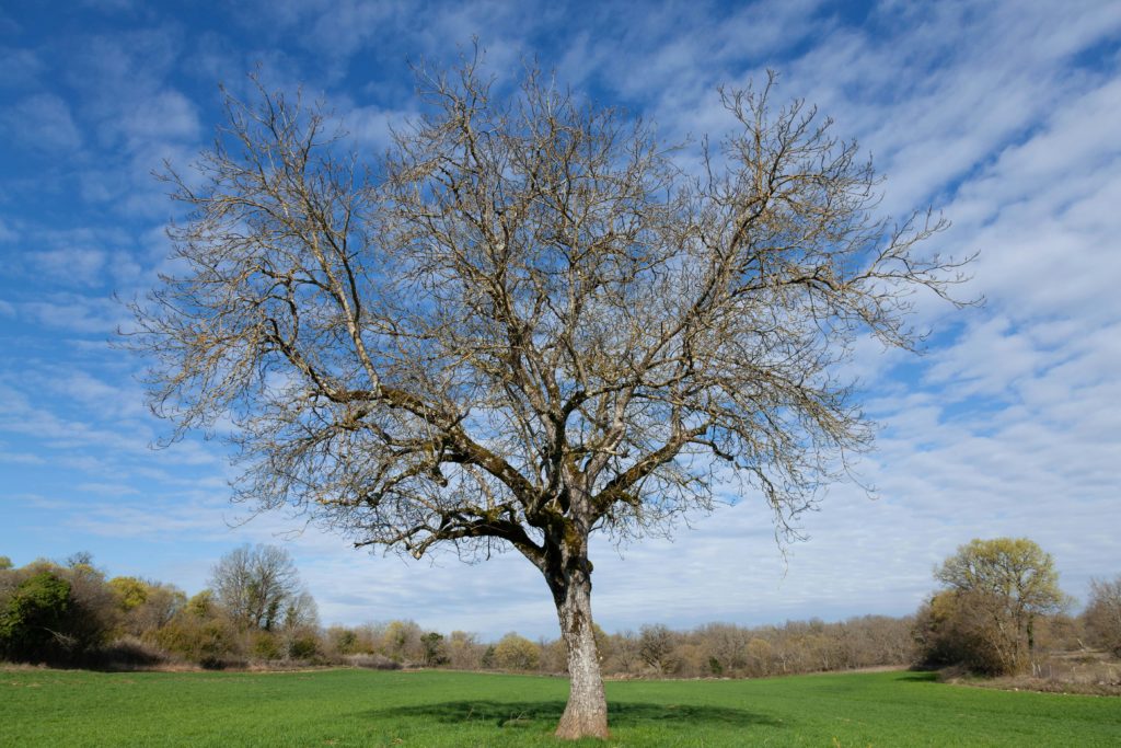 Fit in den Frühling starten Test