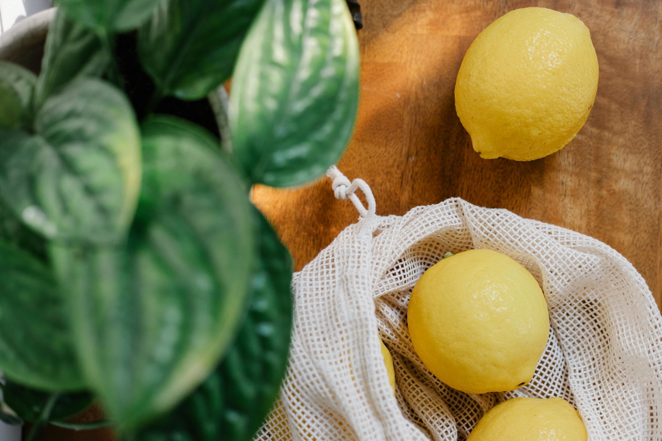 Kostenloses Stock Foto zu blatt, drinnen, ernährung